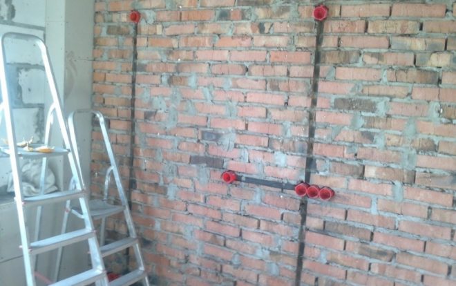 Стръкове в тухлена стена